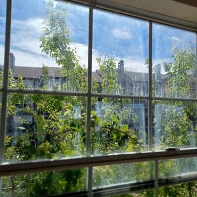 failed glass foggy with trees